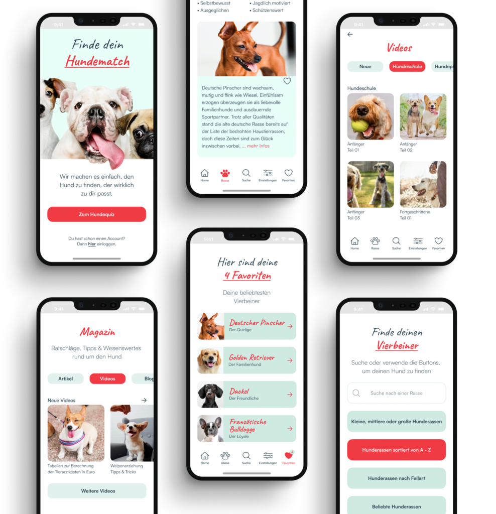 App-Design Hundematch